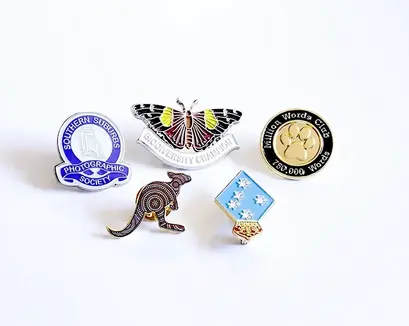 PINS