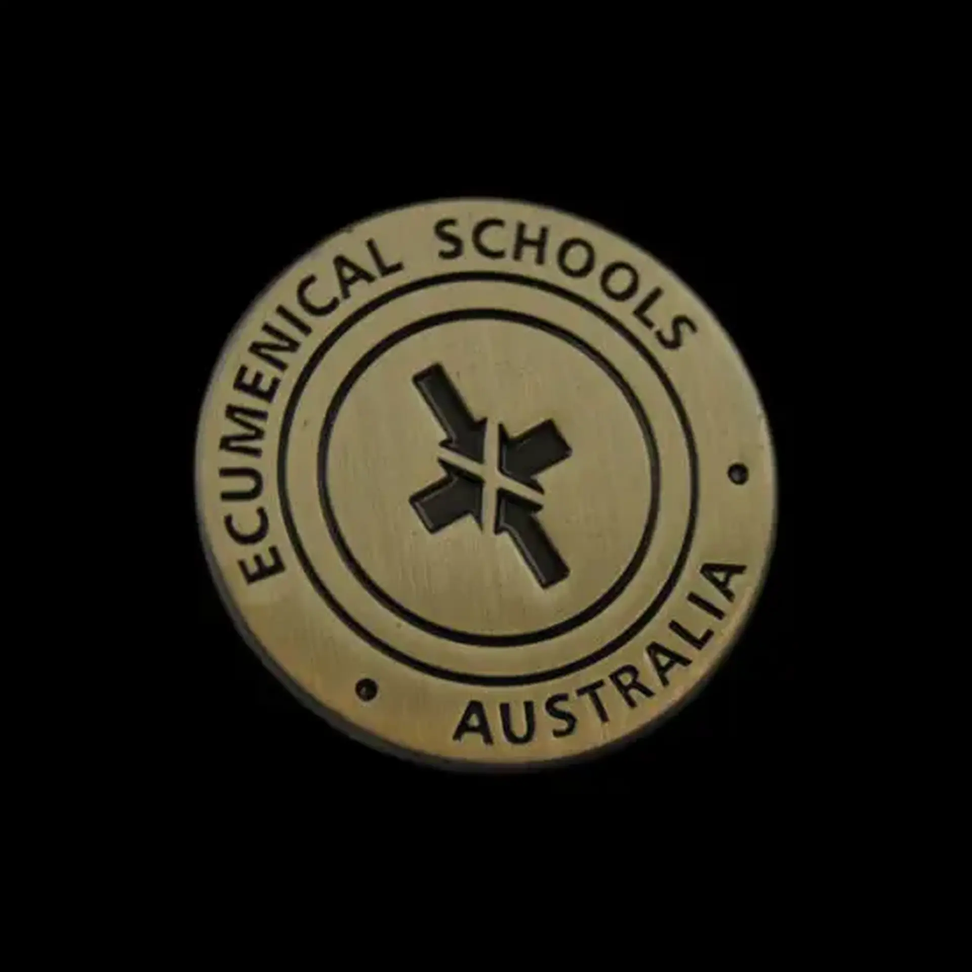 Ecumenical school ant pin