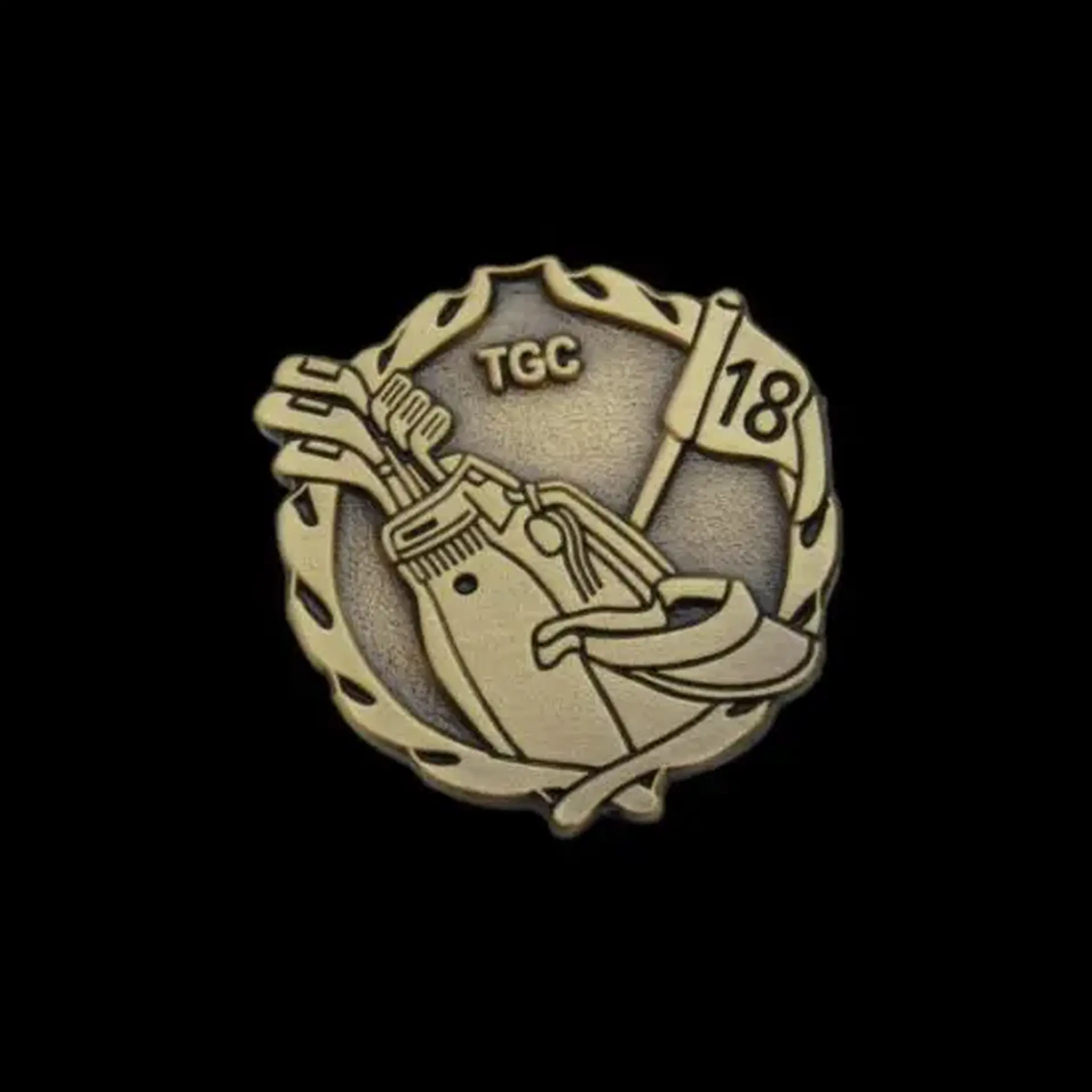Main 1371 pins