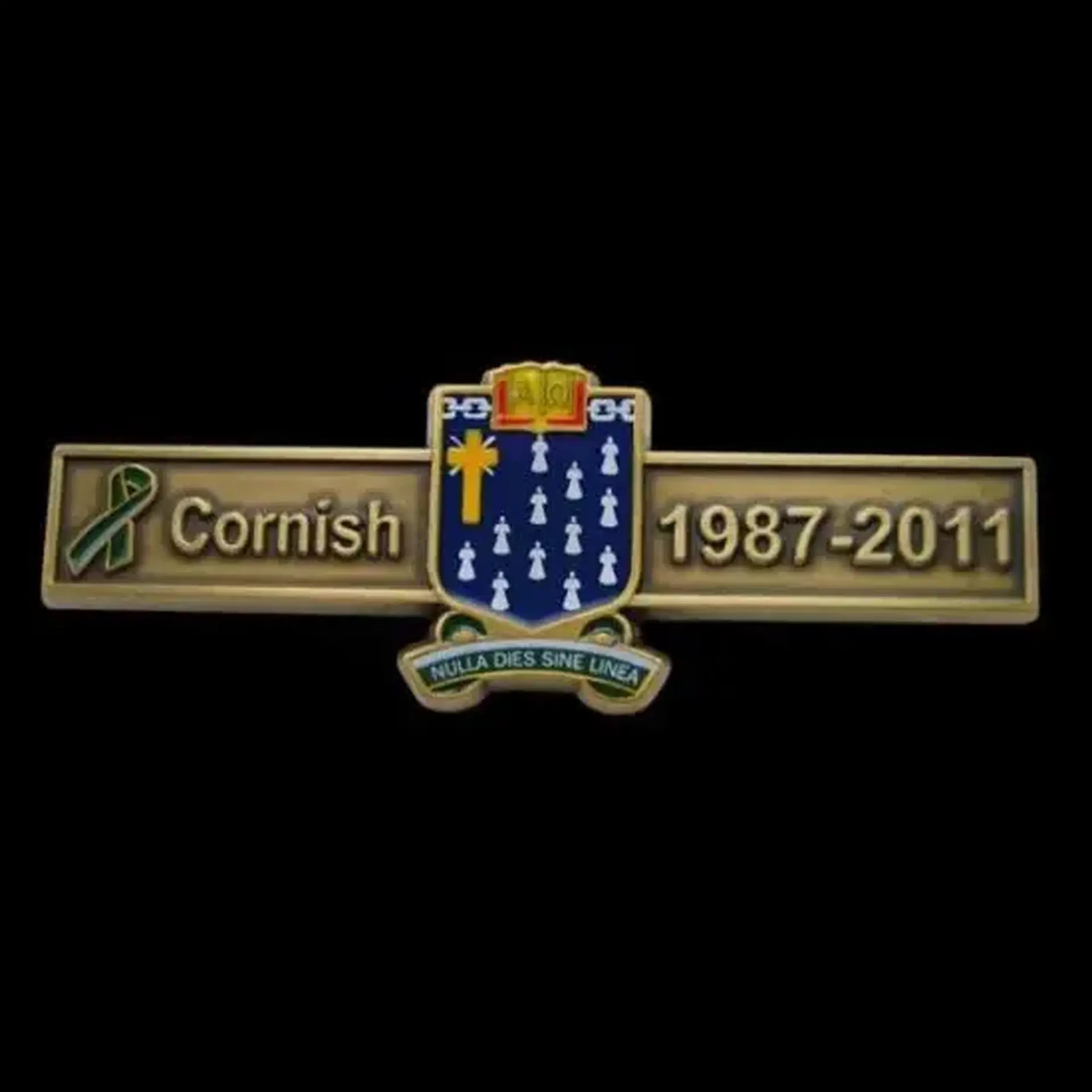 Main 981 pins