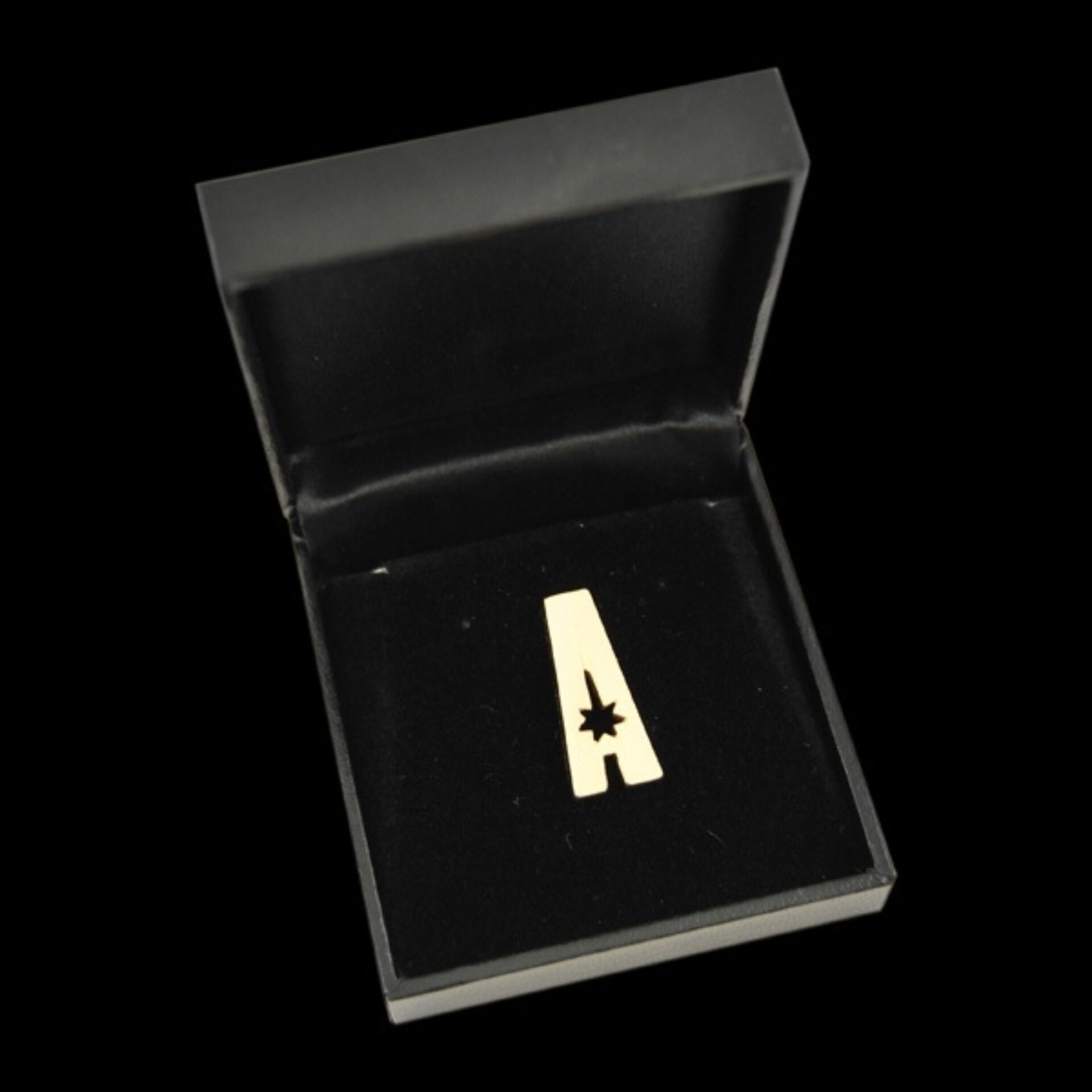 ASM MCG A Pin Case