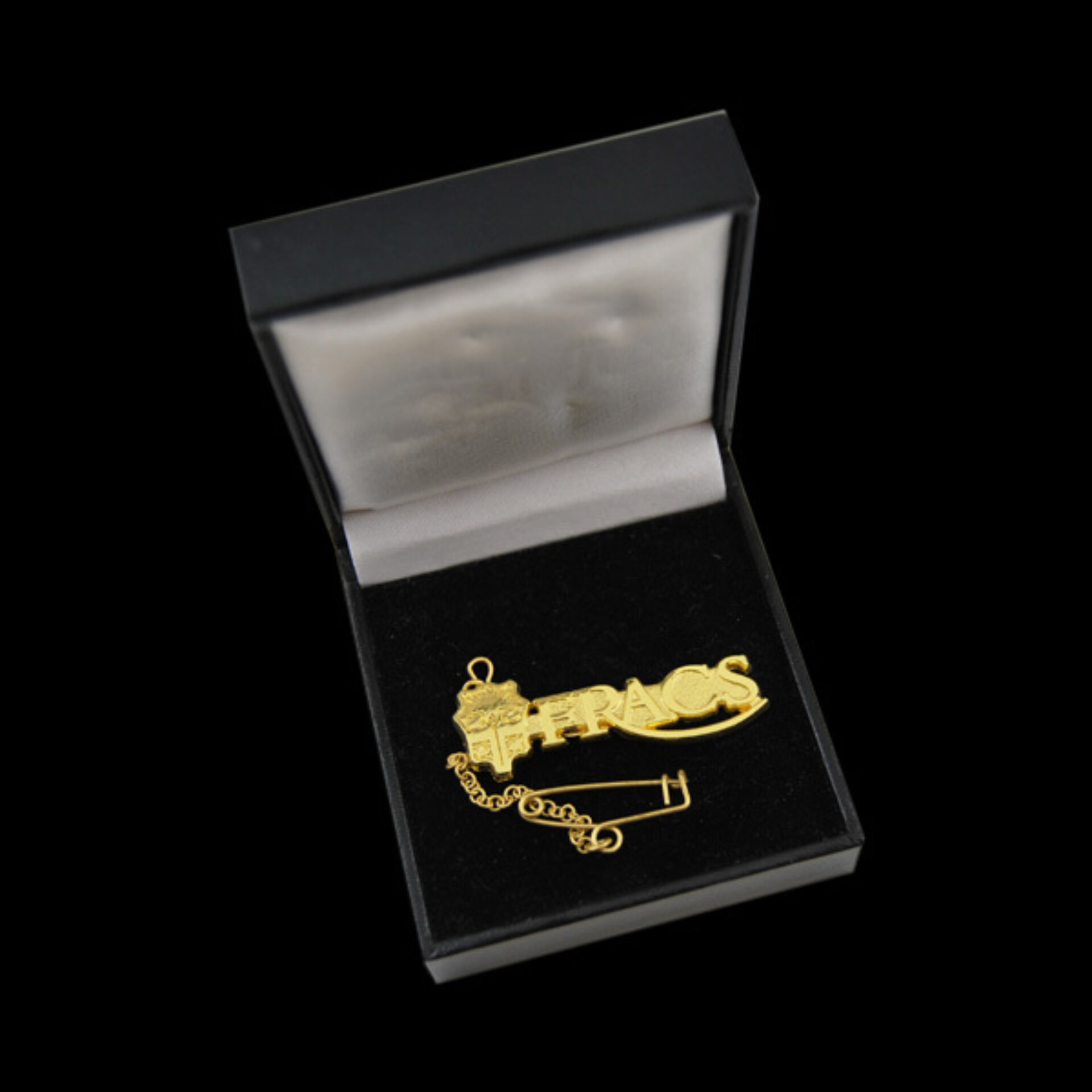 Fracs Gold Pin Case