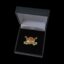150yr Rowing Pin