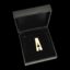 ASM MCG A Pin Case