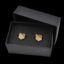 Ant Brass Shield Cufflink Case