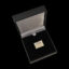 Sesf Pincase