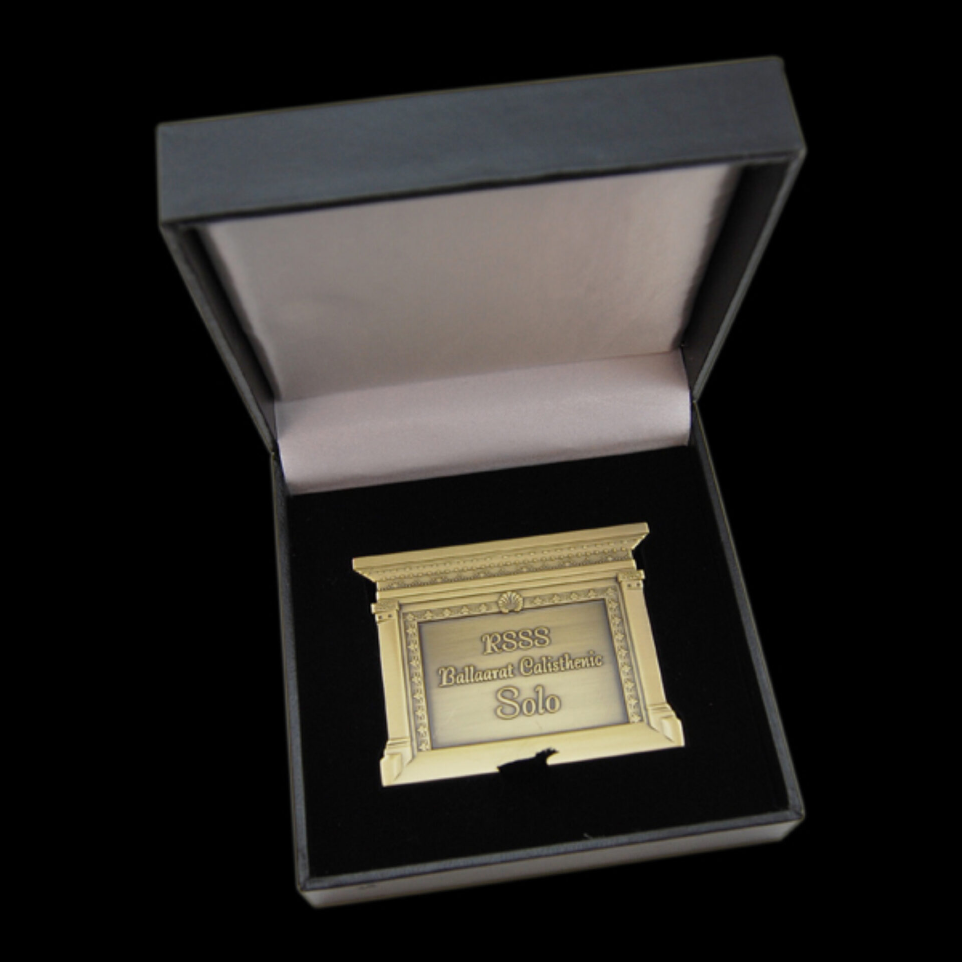 Solo Medal In Case