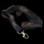 Acf Ribbon
