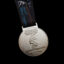 Calisthenics National Medal