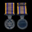 Dlsm Medal
