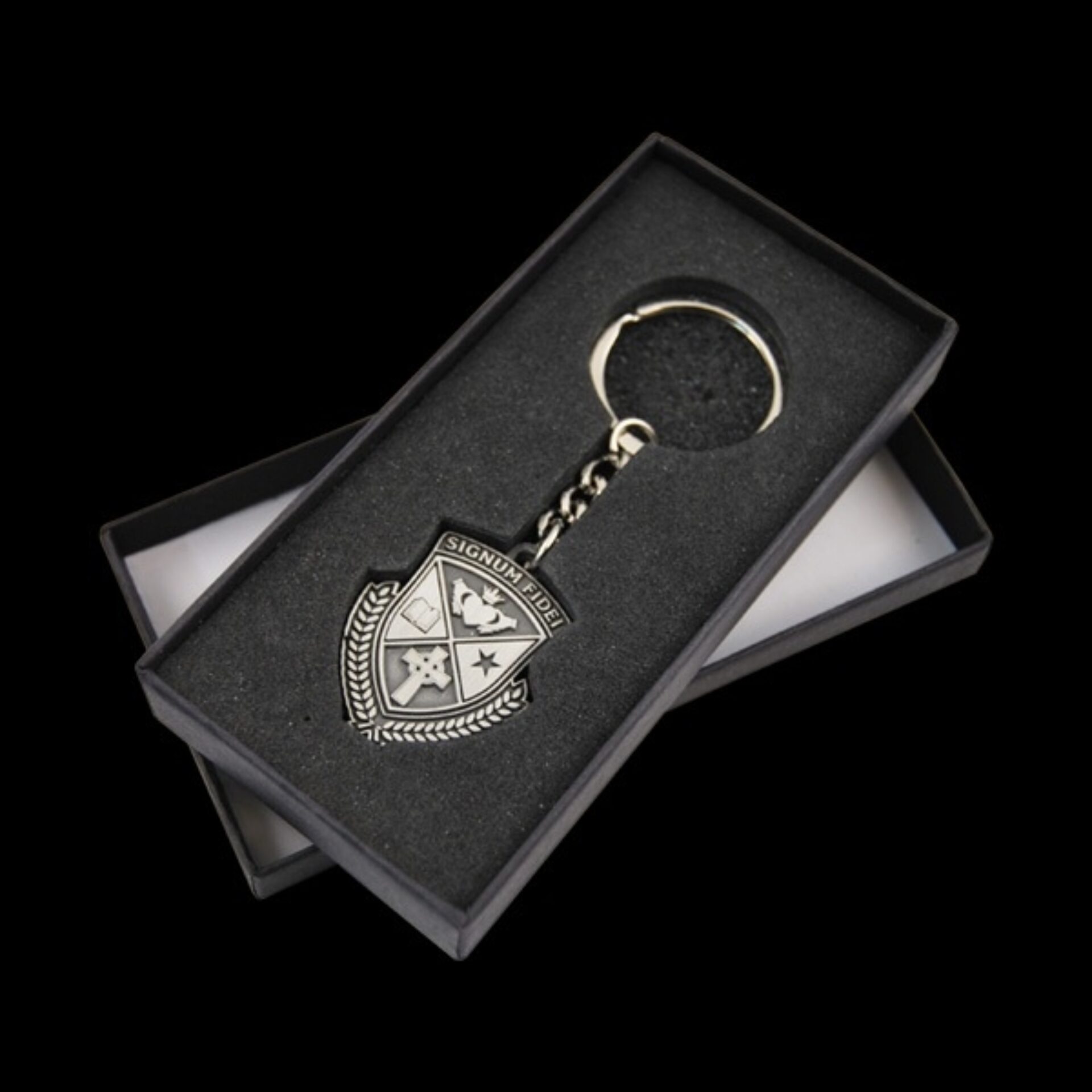 Ant Nickel Crest Keying Case