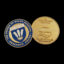 Prince Of Wales Hospital Medallion