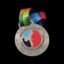 WA Taekwondo silver medal