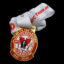 Waratah Warriors Medal