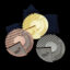 World Skills 2016 Medals