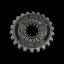 Audax Gravel 1000km coin
