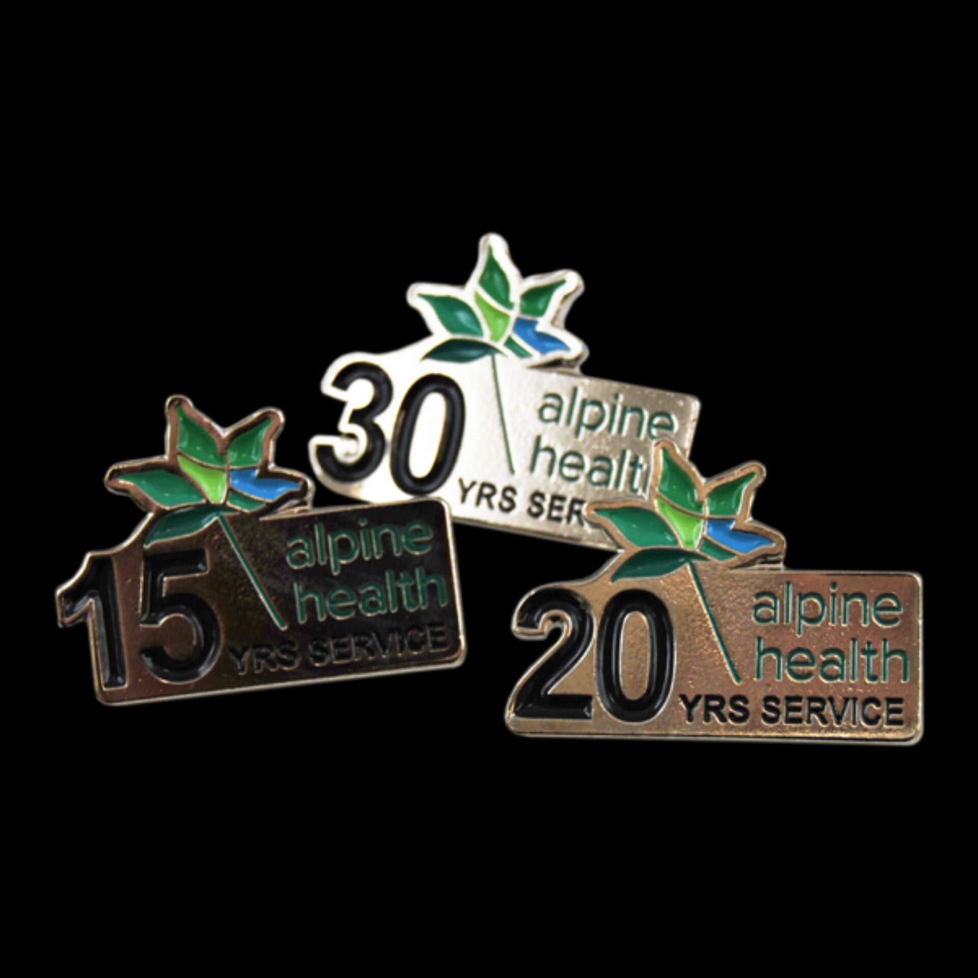 Alpine Health Yr Service