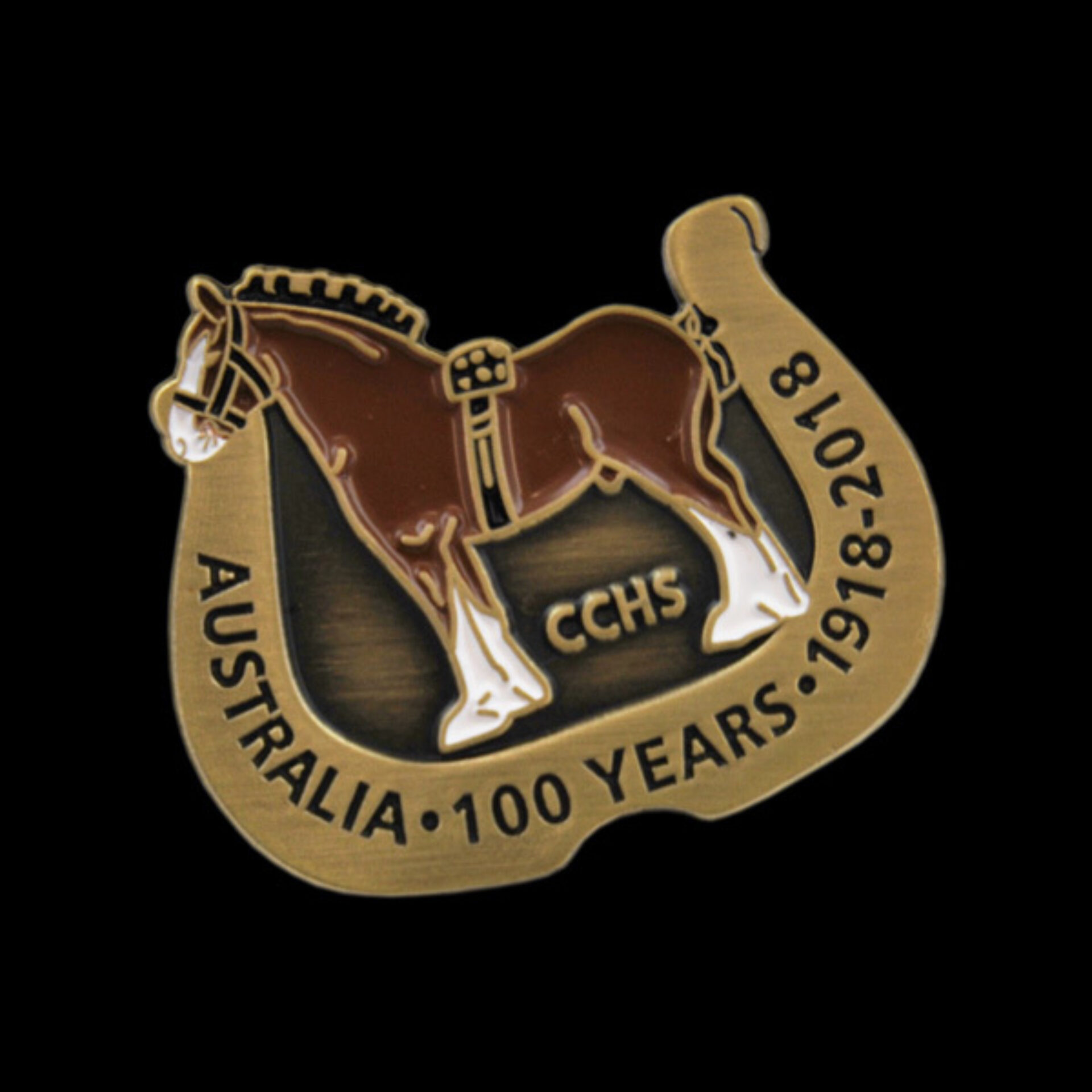 Cchs Horse Shoe Pin