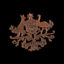 Australian Coatof Arms