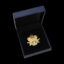 Banks Rowing Pin Case