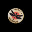 Dragon Flys Gold Pin
