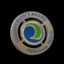Phealth Chairperson Pin