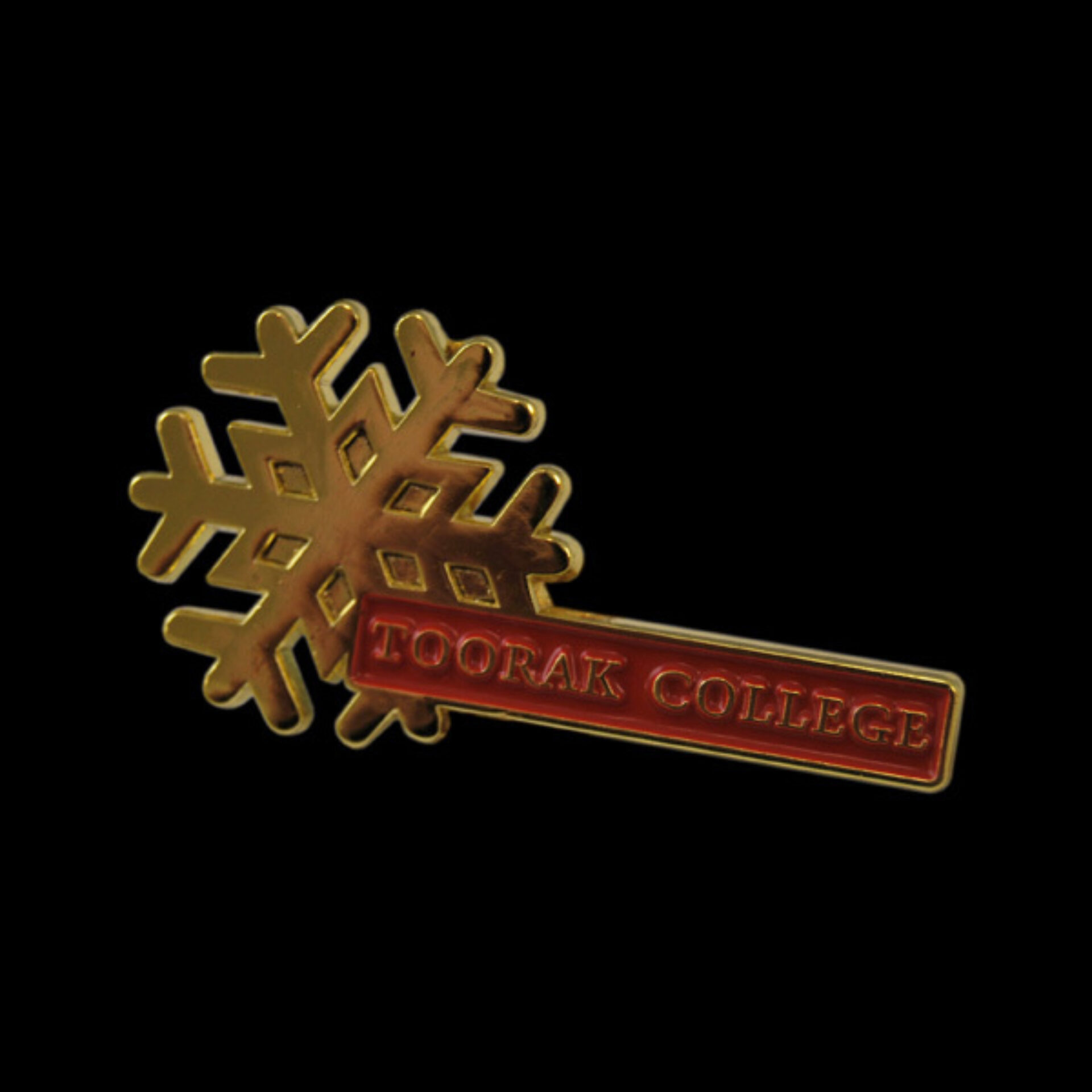 Toorak Snowflake Pin