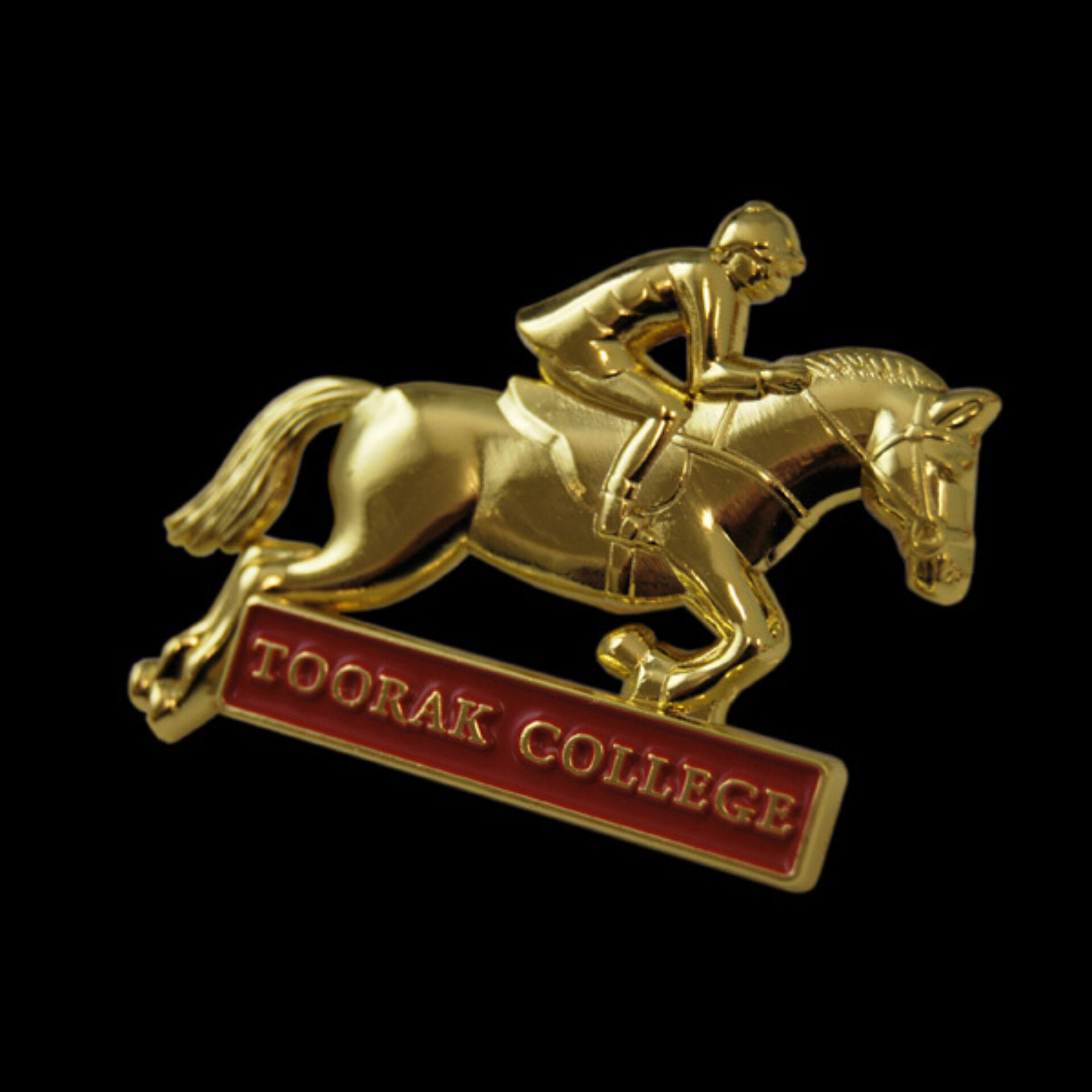 Toorak Equ Pin