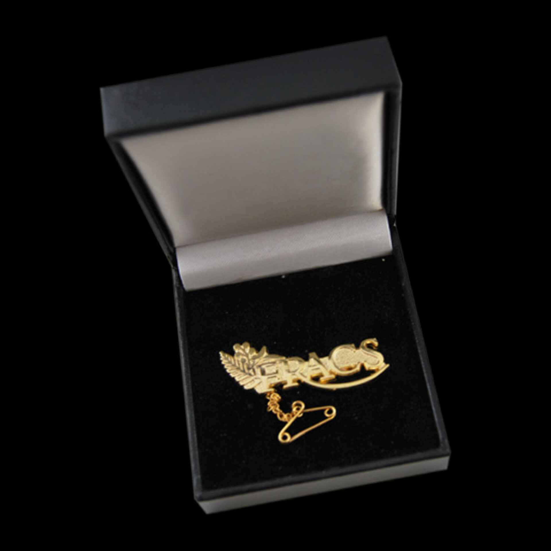 Fracs Brooch Case