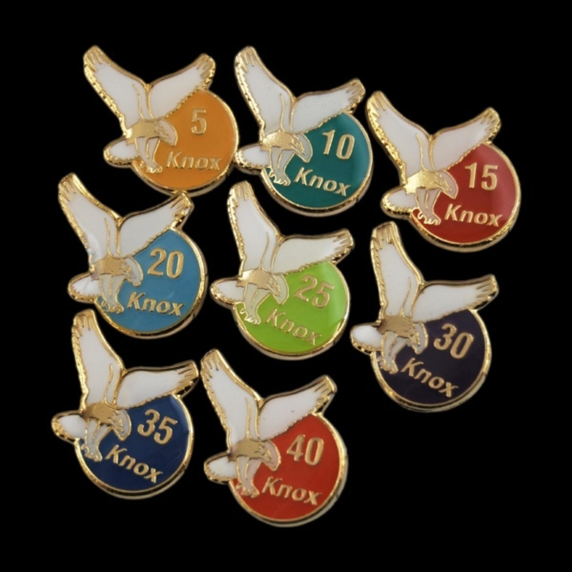 Knox Yrs Service Pins SET