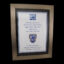 Bulldogs Frame