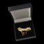 Fracs Brooch Case